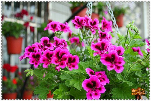 ��Ƭ 055_����.jpg