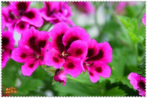 ��Ƭ 057_����.jpg