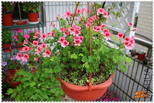 ��Ƭ 061_����.jpg