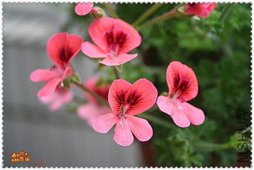 ��Ƭ 068_����.jpg