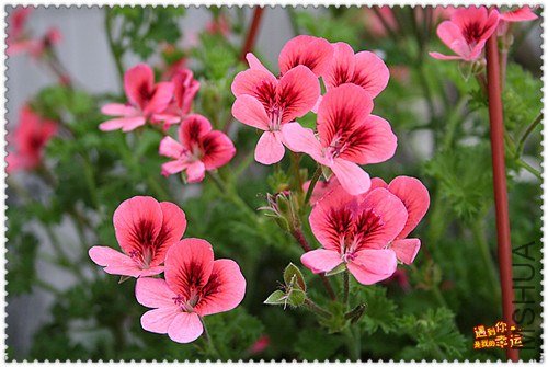 ��Ƭ 072_����.jpg