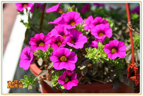 ��Ƭ 038_����.jpg