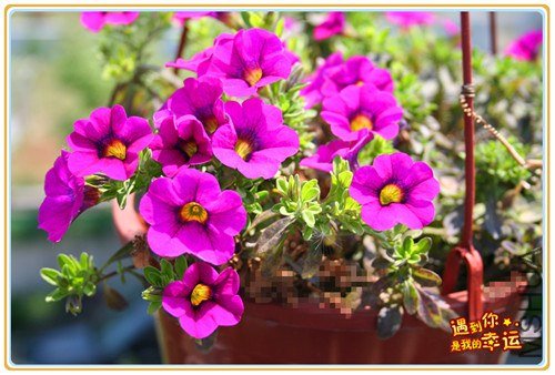 ��Ƭ 042_����.jpg