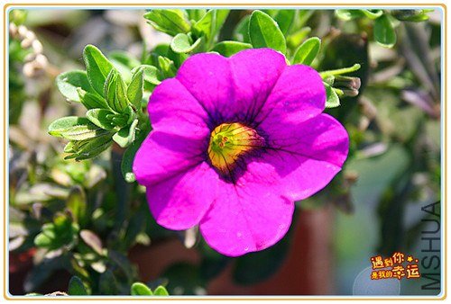 ��Ƭ 045_����.jpg