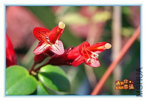 ��Ƭ 034_����.jpg