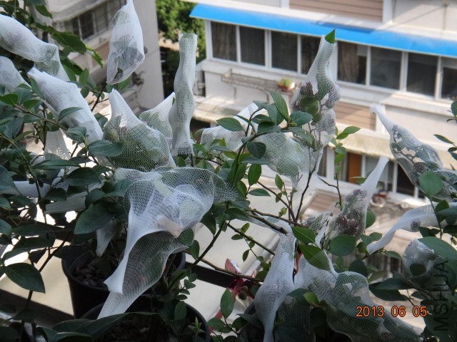DSC07876.JPG