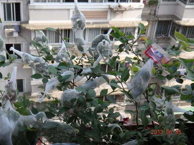 DSC07874.JPG