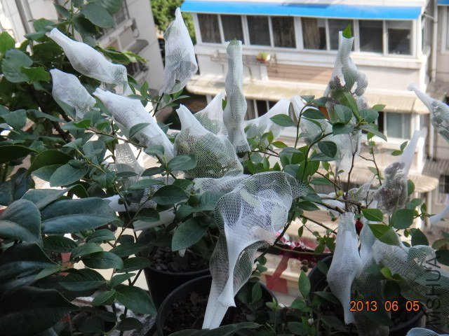 DSC07873.JPG