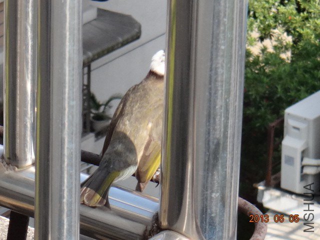 DSC07872.JPG