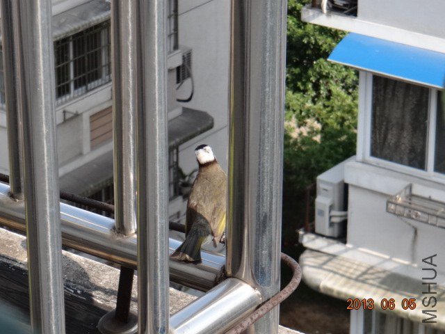 DSC07871.JPG