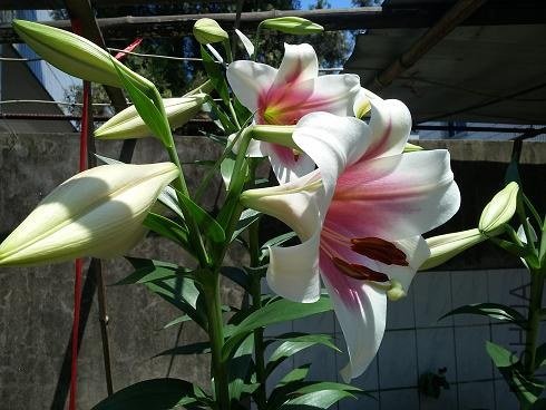 20130603_131404.jpg