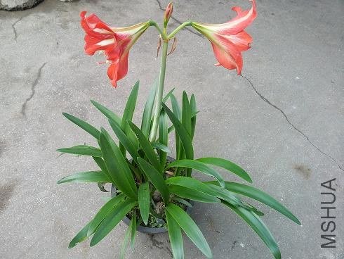 20130519_072858.jpg