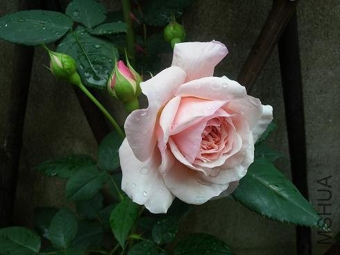 20130509_155446.jpg