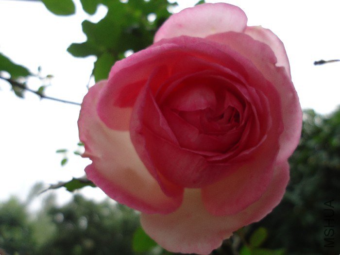 DSC01373.jpg