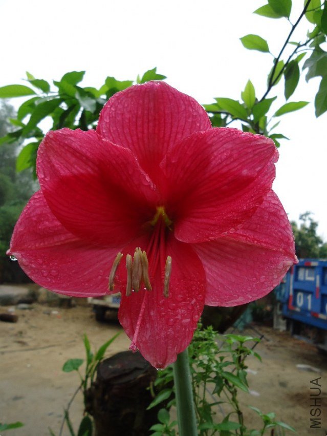 DSC01402.jpg
