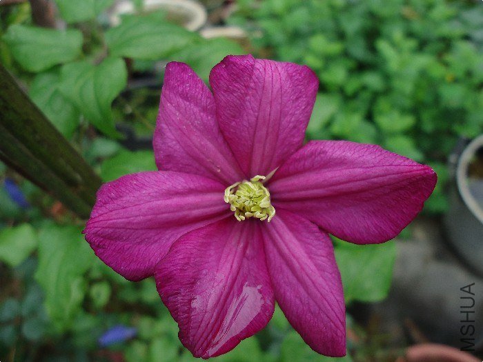 DSC01422.jpg