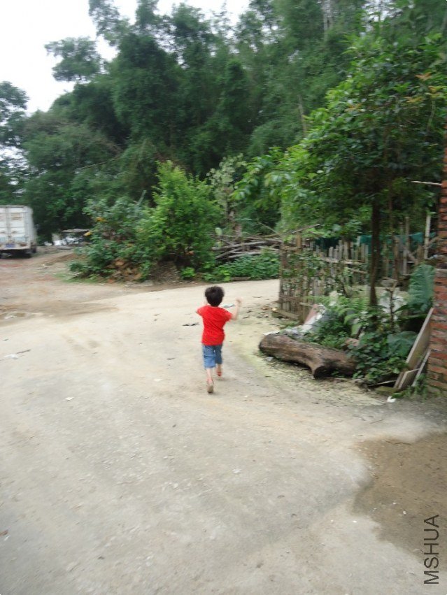 DSC01510.jpg