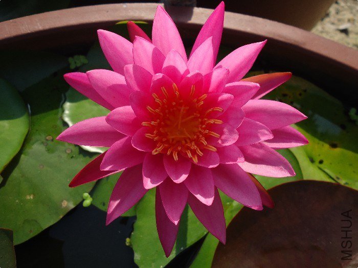 DSC01516.jpg