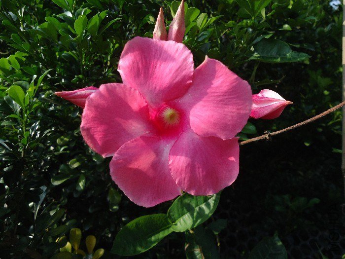 DSC01524.jpg