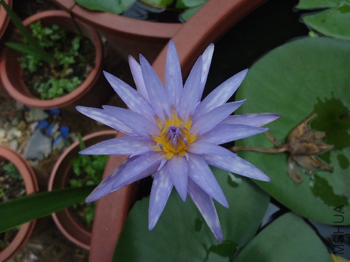 DSC01534.jpg