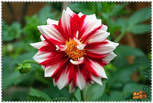 ��Ƭ 189_����.jpg