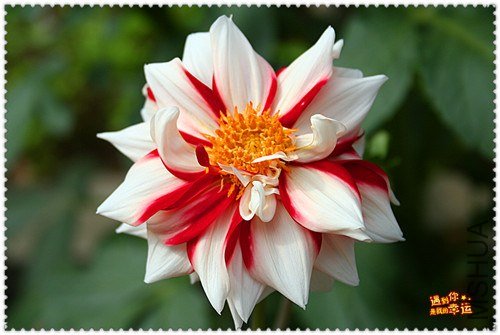 ��Ƭ 189a_����.jpg