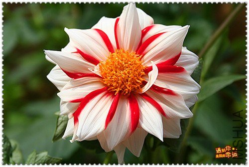 ��Ƭ 189b_����.jpg