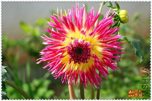 ��Ƭ 105_����.jpg