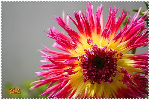 ��Ƭ 107_����.jpg