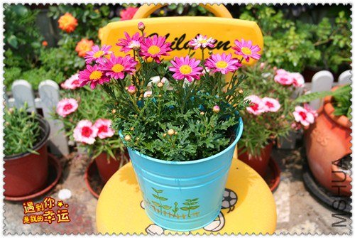 ��Ƭ 016_����.jpg