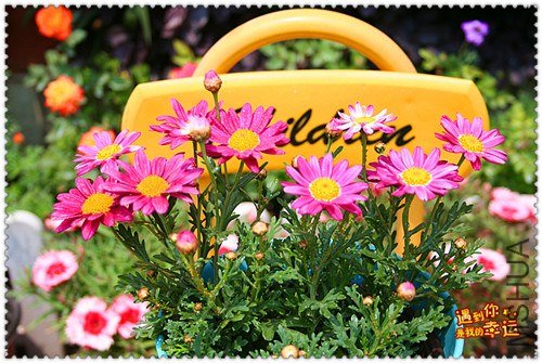 ��Ƭ 018_����.jpg