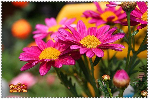 ��Ƭ 020_����.jpg