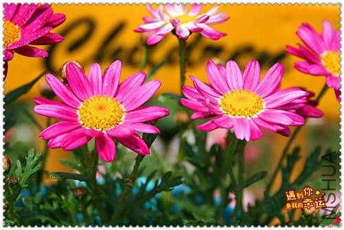 ��Ƭ 023_����.jpg