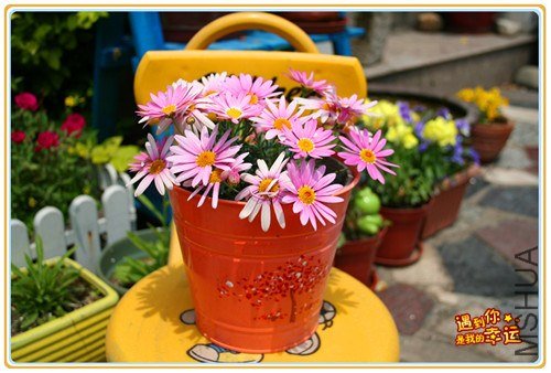 ��Ƭ 027_����.jpg