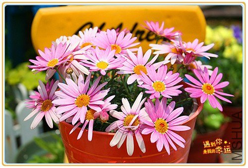 ��Ƭ 028_����.jpg