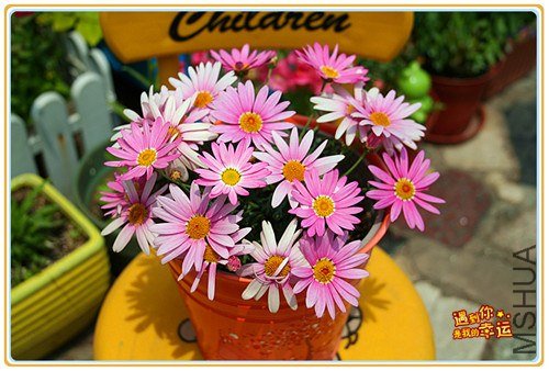 ��Ƭ 030_����.jpg