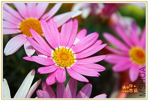 ��Ƭ 032_����.jpg