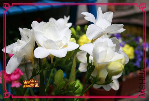 ��Ƭ 062_����.jpg