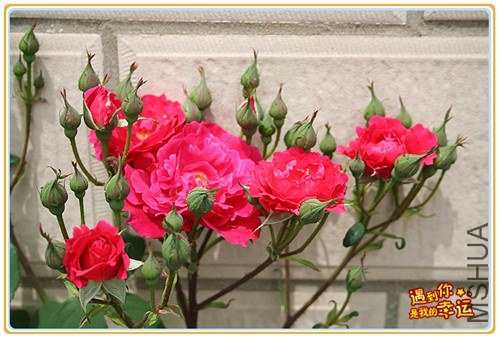 ��Ƭ 059_����.jpg