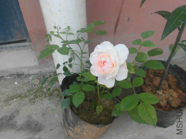 QQͼƬ20130606162646.jpg