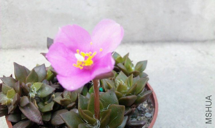 QQͼƬ20130606204601.jpg