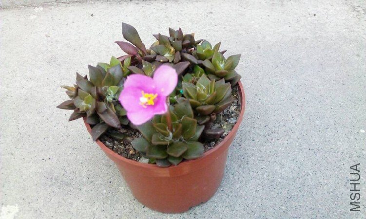 QQͼƬ20130606204556.jpg