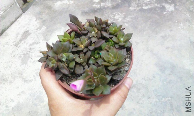 QQͼƬ20130606204550.jpg