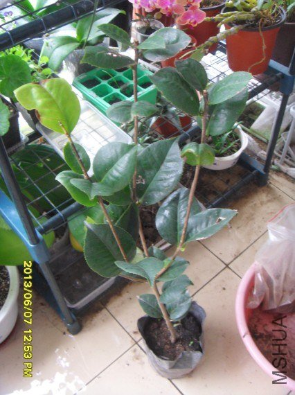 QQ��ͼ20130607132344.jpg