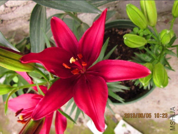 QQͼƬ20130607135954.jpg