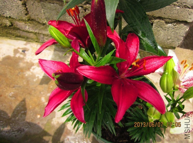 QQͼƬ20130607140008.jpg