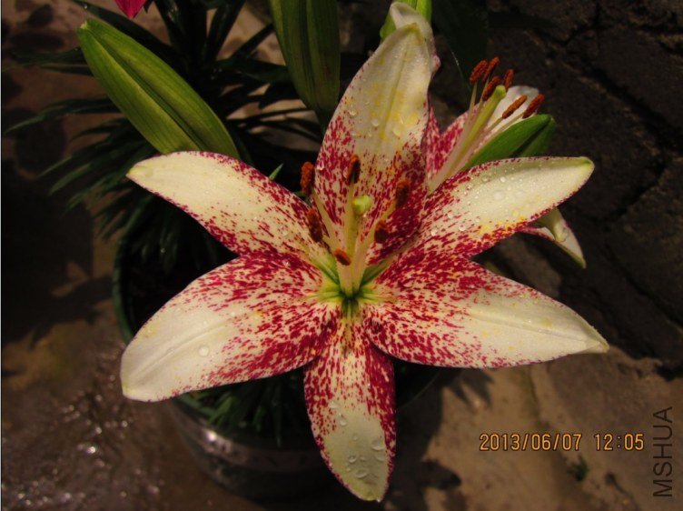 QQͼƬ20130607140029.jpg