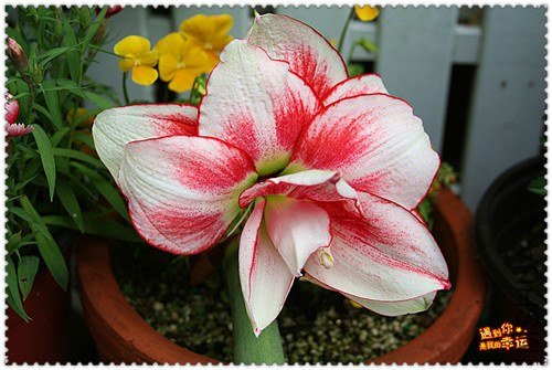 ��Ƭ 050_����.jpg