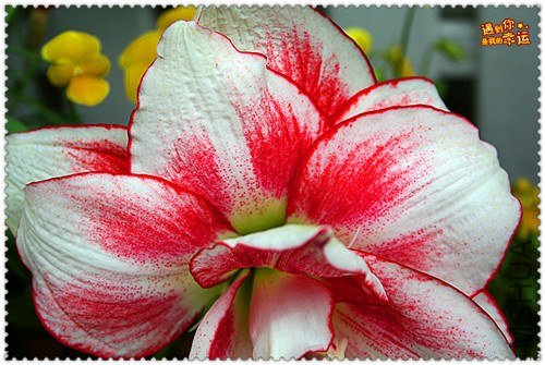 ��Ƭ 053_����.jpg