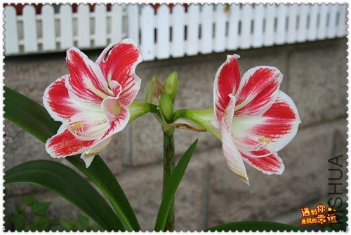 ��Ƭ 001_����.jpg